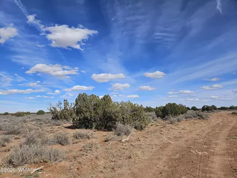 Undisclosed, Snowflake, AZ 85937 photo 2