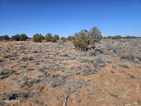 Undisclosed, Snowflake, AZ 85937 photo 17