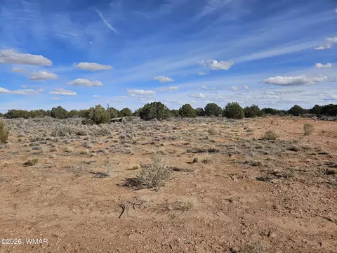 Undisclosed, Snowflake, AZ 85937 photo 29