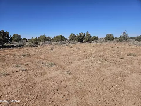 Undisclosed, Snowflake, AZ 85937 photo 12