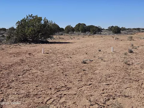 Undisclosed, Snowflake, AZ 85937 photo 15