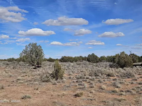 Undisclosed, Snowflake, AZ 85937 photo 30