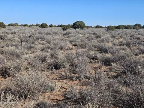 Undisclosed, Snowflake, AZ 85937 photo 22