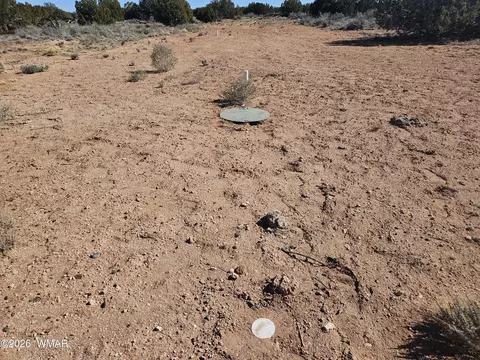 Undisclosed, Snowflake, AZ 85937 photo 14