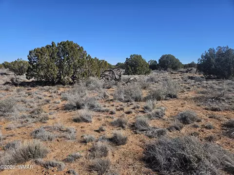 Undisclosed, Snowflake, AZ 85937 photo 16