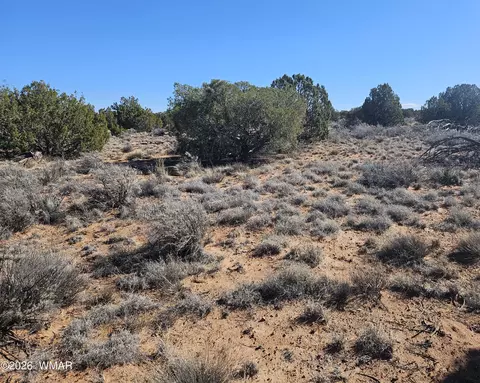 Undisclosed, Snowflake, AZ 85937 photo 26