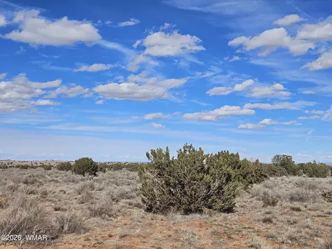 Undisclosed, Snowflake, AZ 85937 photo 28