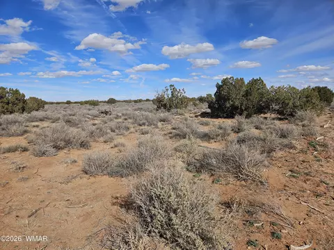 Undisclosed, Snowflake, AZ 85937 photo 31