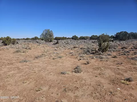 Undisclosed, Snowflake, AZ 85937 photo 11