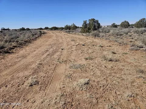 Undisclosed, Snowflake, AZ 85937 photo 9