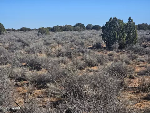 Undisclosed, Snowflake, AZ 85937 photo 23
