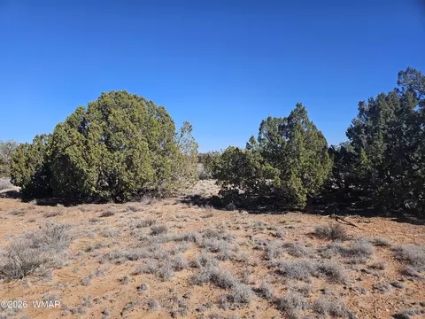 Undisclosed, Snowflake, AZ 85937 photo 24
