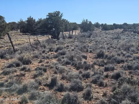 Undisclosed, Snowflake, AZ 85937 photo 19