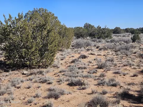 Undisclosed, Snowflake, AZ 85937 photo 18