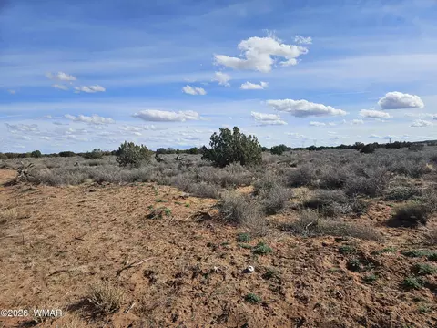 Undisclosed, Snowflake, AZ 85937 photo 27