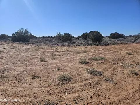 Undisclosed, Snowflake, AZ 85937 photo 13