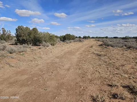 Undisclosed, Snowflake, AZ 85937