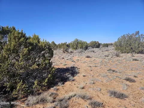 Undisclosed, Snowflake, AZ 85937 photo 25