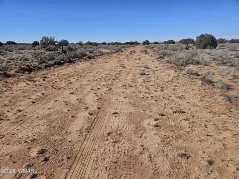 Undisclosed, Snowflake, AZ 85937 photo 8