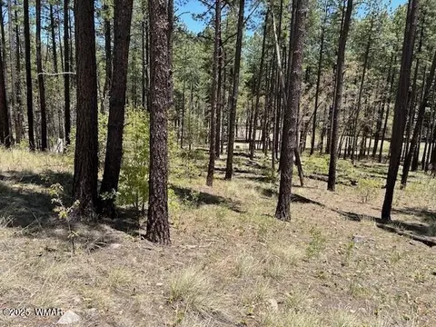 tbd N2122, Alpine, AZ 85920