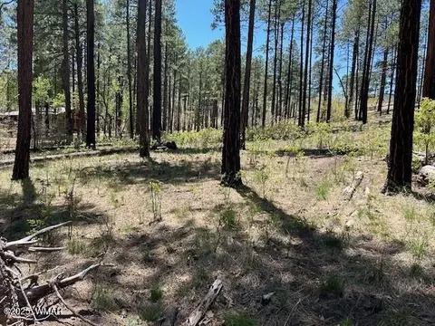 tbd N2122, Alpine, AZ 85920 photo 6