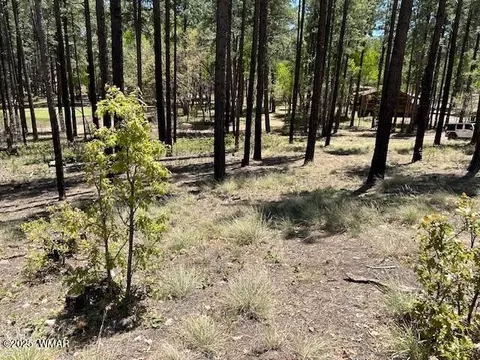tbd N2122, Alpine, AZ 85920 photo 3