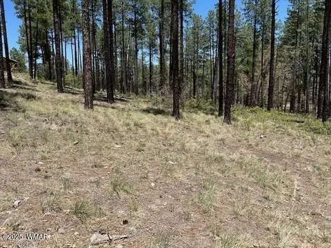 tbd N2122, Alpine, AZ 85920 photo 2