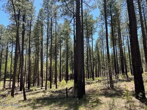 tbd N2122, Alpine, AZ 85920 photo 5