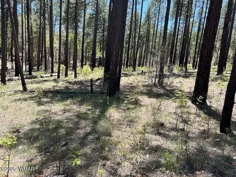 tbd N2122, Alpine, AZ 85920 photo 4