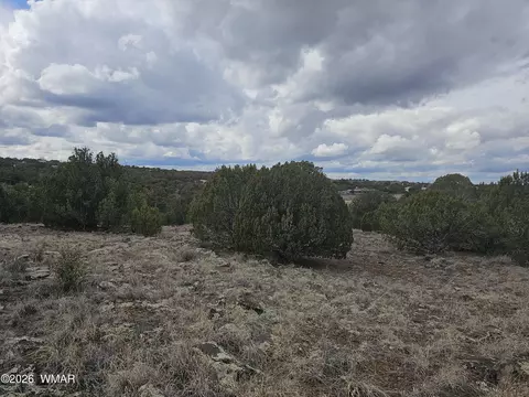 1903 Ponce Pl, Show Low, AZ 85901