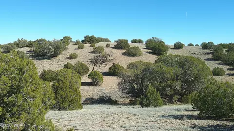 4523 Stirrup Rd, Snowflake, AZ 85937 photo 23