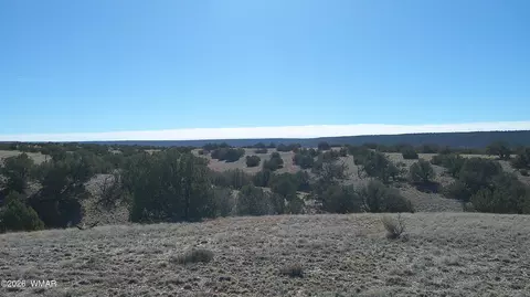 4523 Stirrup Rd, Snowflake, AZ 85937 photo 27