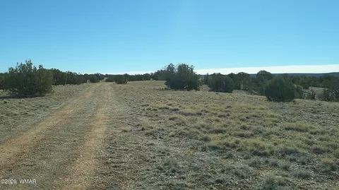 4523 Stirrup Rd, Snowflake, AZ 85937 photo 21