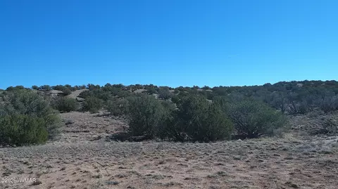 4523 Stirrup Rd, Snowflake, AZ 85937 photo 29