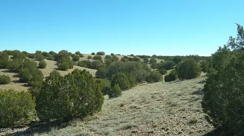 4523 Stirrup Rd, Snowflake, AZ 85937 photo 22