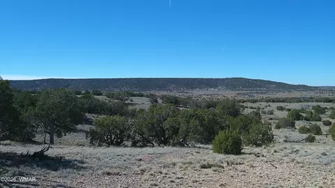 4523 Stirrup Rd, Snowflake, AZ 85937 photo 24
