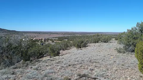 4523 Stirrup Rd, Snowflake, AZ 85937 photo 34