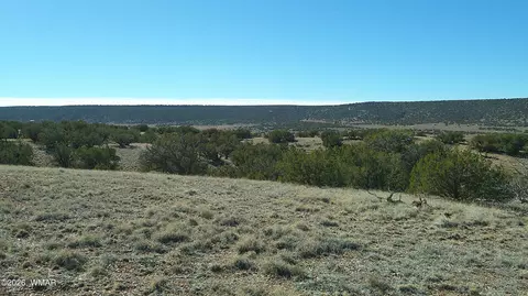 4523 Stirrup Rd, Snowflake, AZ 85937