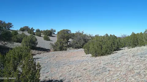 4523 Stirrup Rd, Snowflake, AZ 85937 photo 28