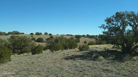 4523 Stirrup Rd, Snowflake, AZ 85937 photo 19