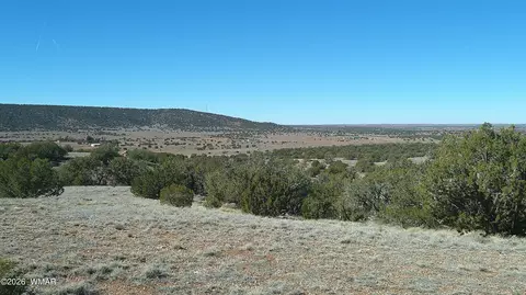 4523 Stirrup Rd, Snowflake, AZ 85937 photo 20
