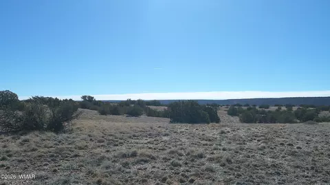4523 Stirrup Rd, Snowflake, AZ 85937 photo 25