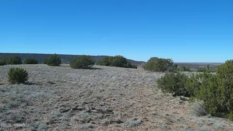4523 Stirrup Rd, Snowflake, AZ 85937 photo 26
