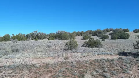 4523 Stirrup Rd, Snowflake, AZ 85937 photo 31