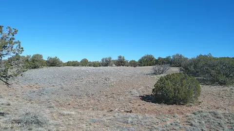 4523 Stirrup Rd, Snowflake, AZ 85937 photo 32