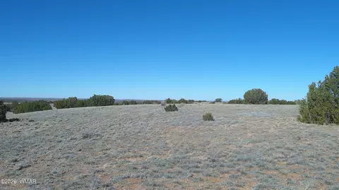 4523 Stirrup Rd, Snowflake, AZ 85937 photo 17