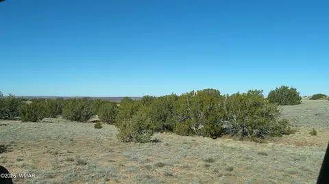 4523 Stirrup Rd, Snowflake, AZ 85937 photo 18