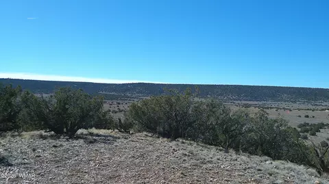 4523 Stirrup Rd, Snowflake, AZ 85937 photo 33