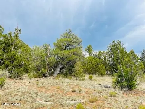 8418 Haven Crest Dr, Happy Jack, AZ 86024