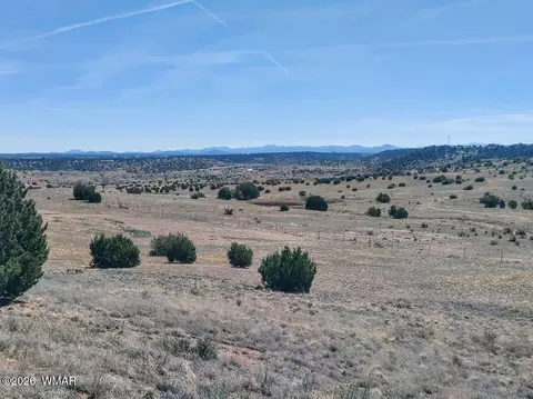 1221 W Farmhouse Dr, Taylor, AZ 85939